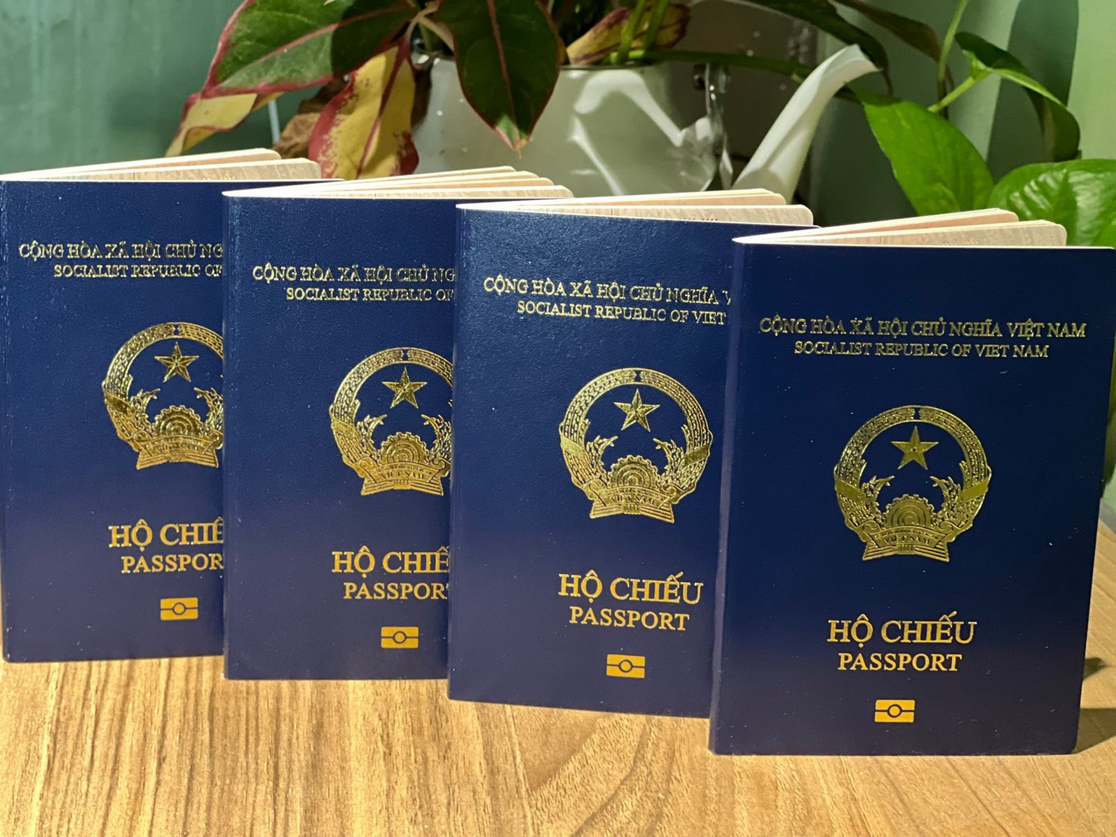 Dịch vụ làm Visa Trung Quốc