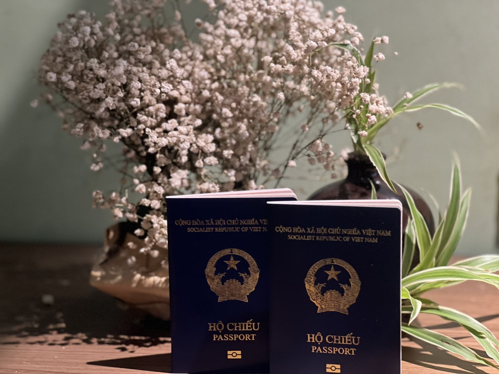 làm hộ chiếu online