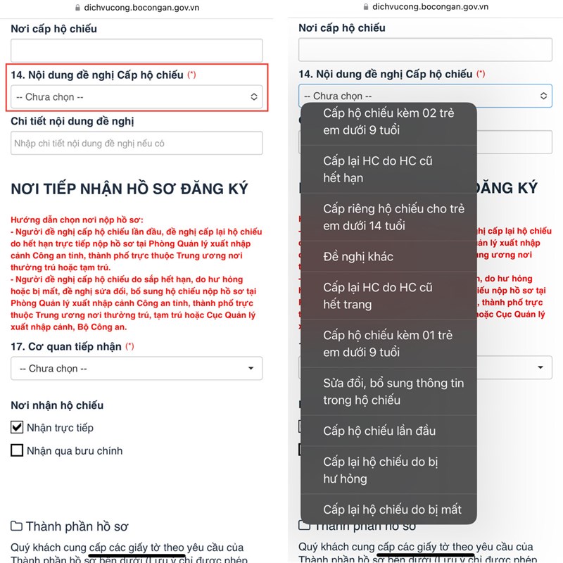 làm hộ chiếu online